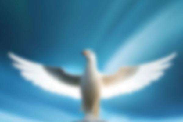 Espírito Santo: Descubra os segredos dessa região incrível